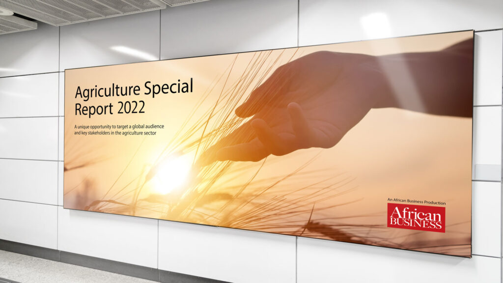Banner for agriculture for interior environmental design element of hand touching wheat